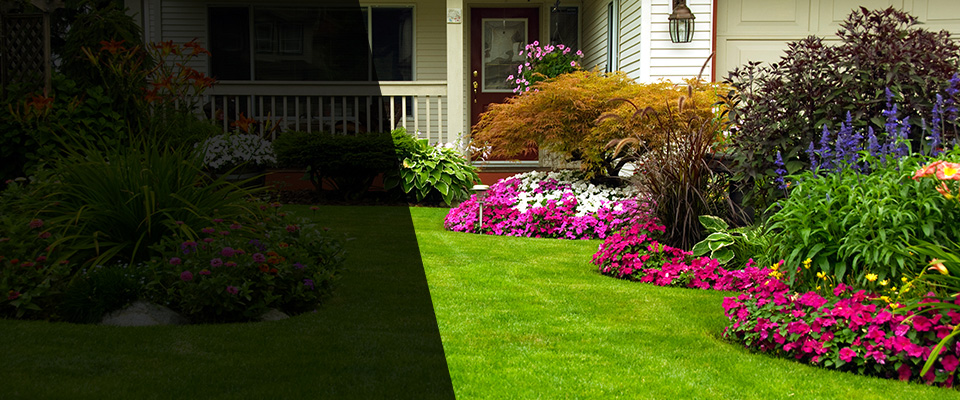 Ellington Landscapers